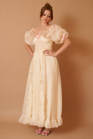 Tiana Chiffon Gown - S